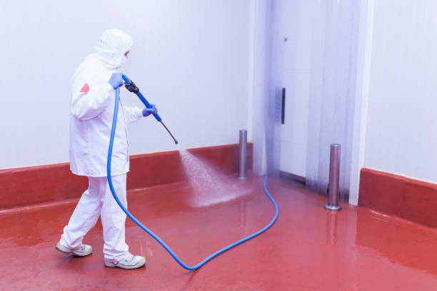 Best Graffiti Removal Services in Pearland, TX